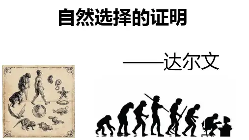 《自然选择的证明》ppt课件