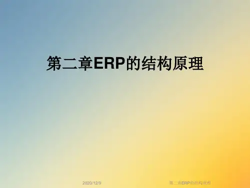 第二章ERP的结构原理