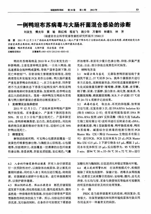 一例鸭坦布苏病毒与大肠杆菌混合感染的诊断