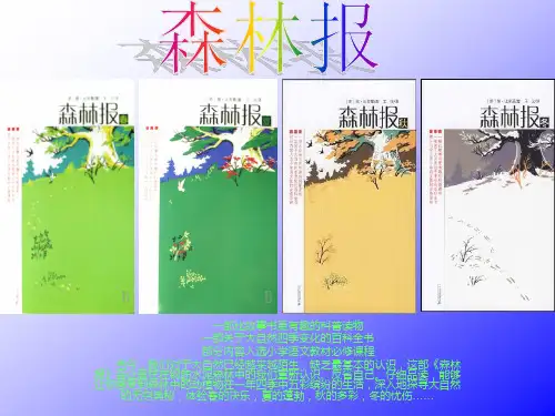 森林报__ppt__演示文稿[1]