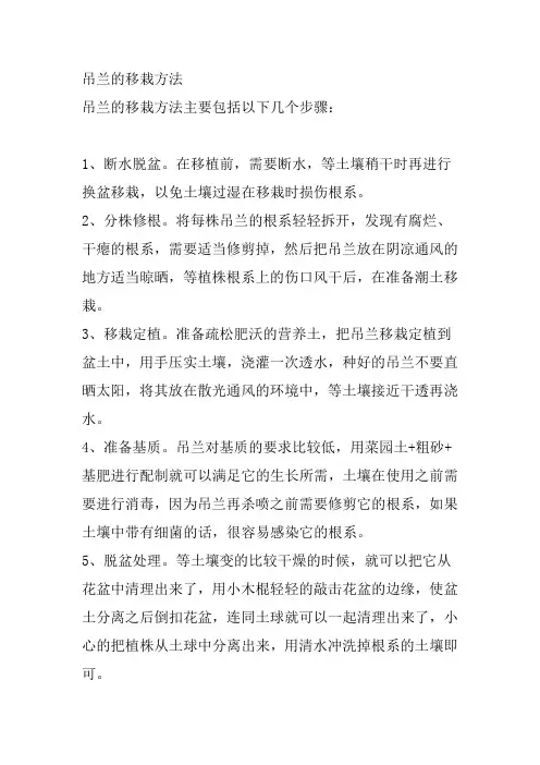 吊兰的移栽方法