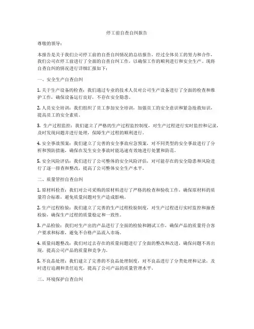 停工前自查自纠报告