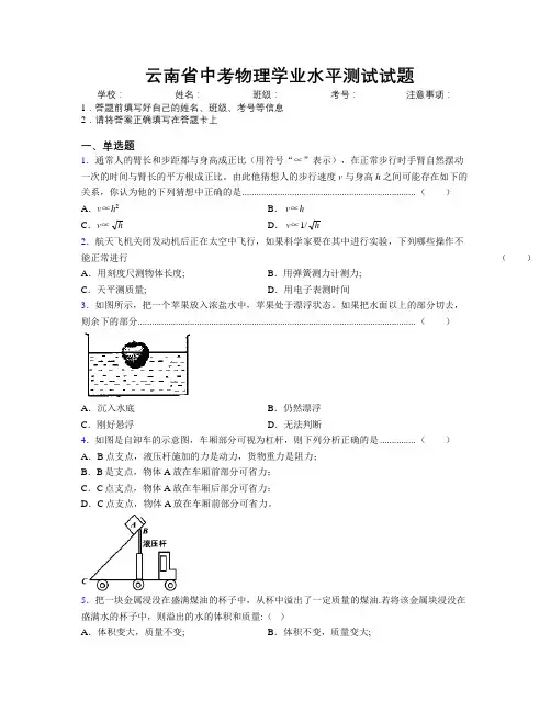 精编云南省中考物理学业水平测试试题附解析