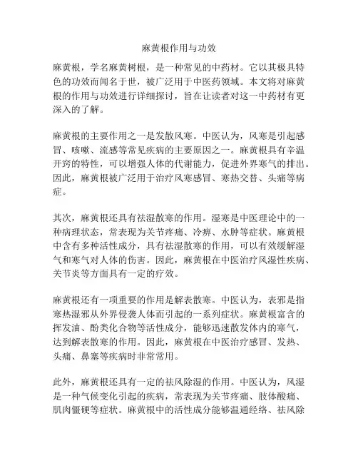 麻黄根作用与功效