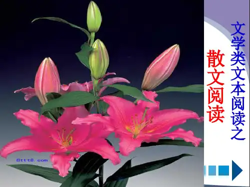 第二轮复习高考散文阅读PPT课件