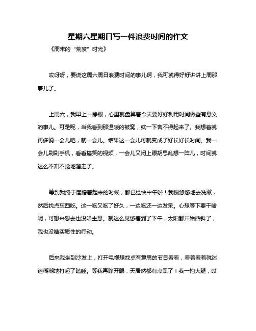 星期六星期日写一件浪费时间的作文