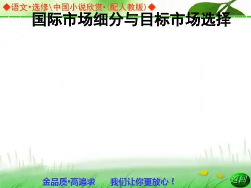国际市场细分与目标市场选择