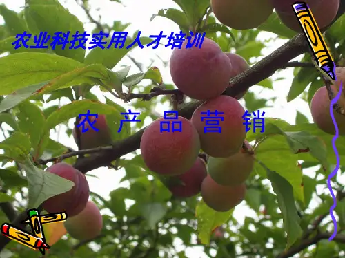 农产品营销