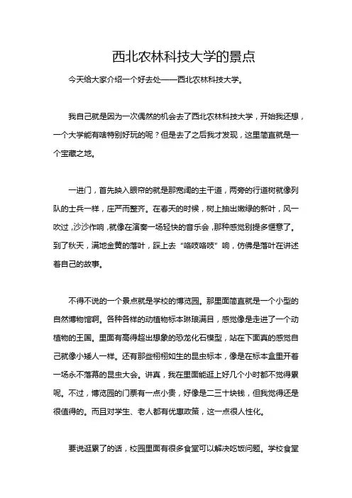 西北农林科技大学的景点