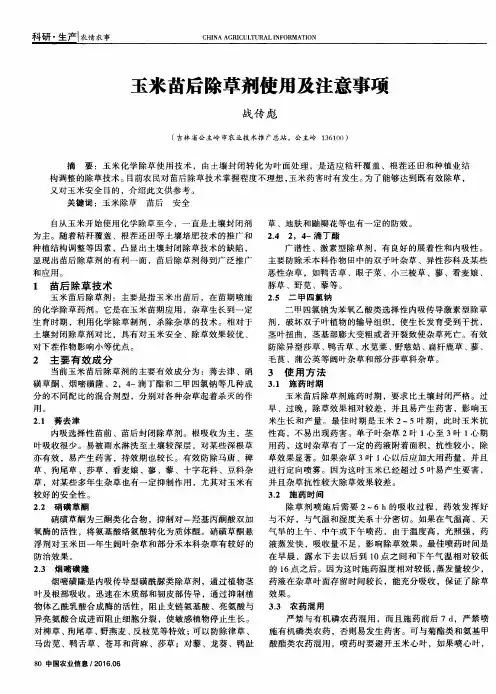 玉米苗后除草剂使用及注意事项