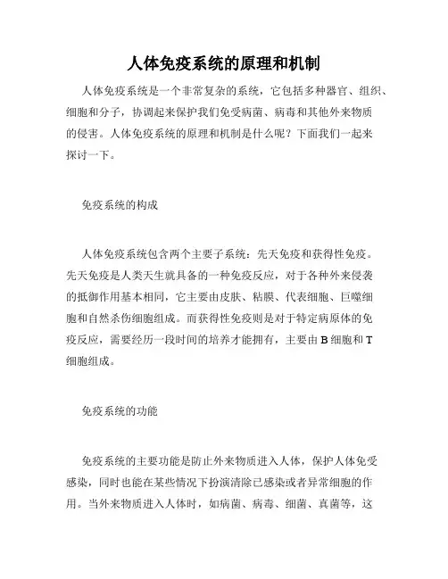 人体免疫系统的原理和机制