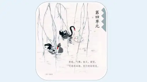 13 《猫 》课件(共48张PPT)