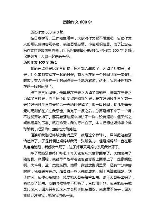 历险作文600字