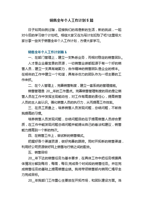 销售全年个人工作计划5篇