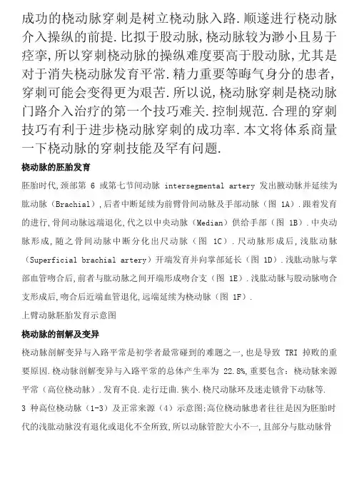 手把手教你桡动脉穿刺技巧(精美图文)