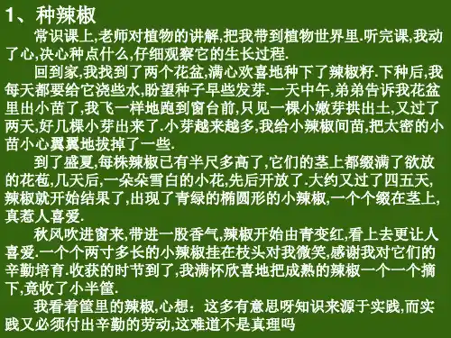 五年级语文下阅读训练PPT