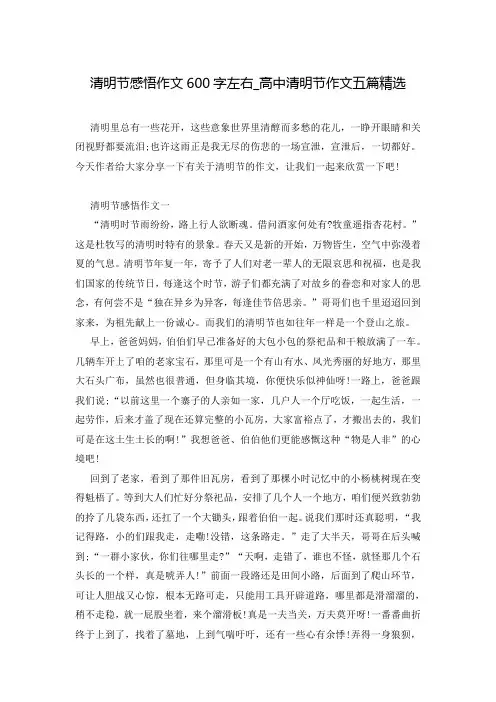 清明节感悟作文600字左右_高中清明节作文五篇精选