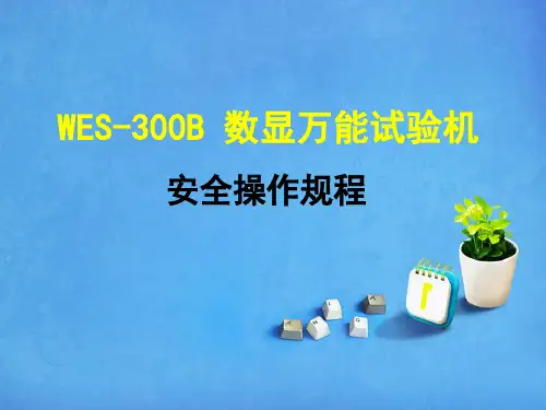 WES-300B 数显万能试验机PPT