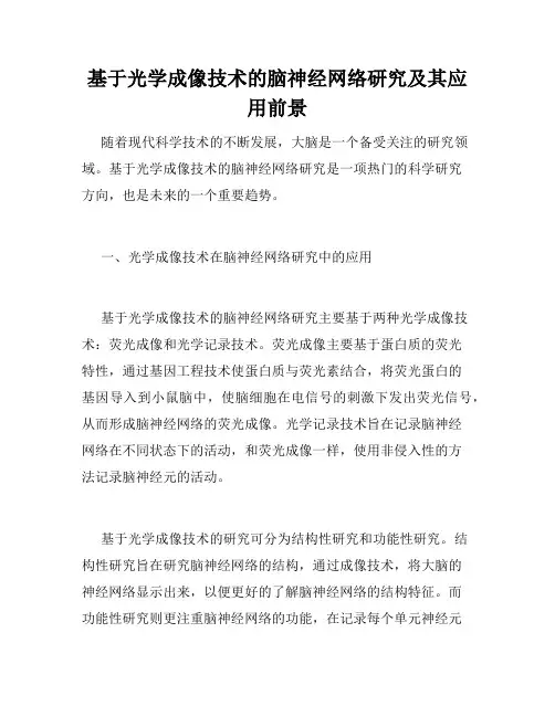 基于光学成像技术的脑神经网络研究及其应用前景