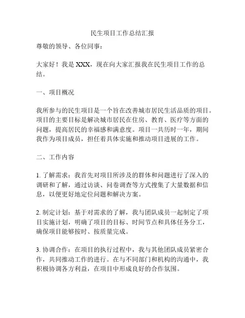 民生项目工作总结汇报
