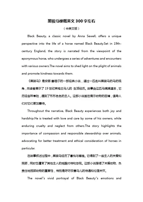 黑骏马梗概英文300字左右