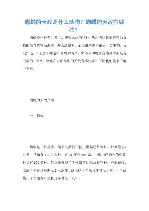 蝴蝶的天敌是什么动物？蝴蝶的天敌有哪些？