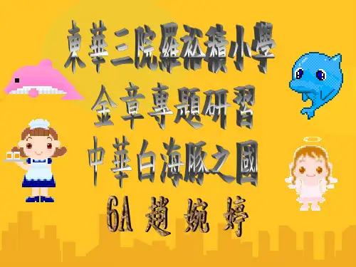中华白海豚之国PPT资料优秀版