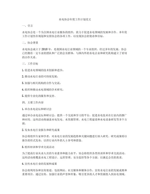 水电协会年度工作计划范文
