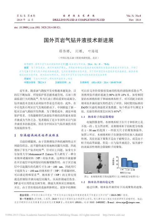 国外页岩气钻井液技术新进展_邸伟娜