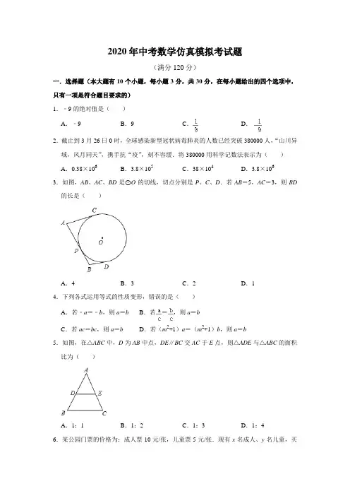 2020年中考数学仿真模拟考试题(解析版)