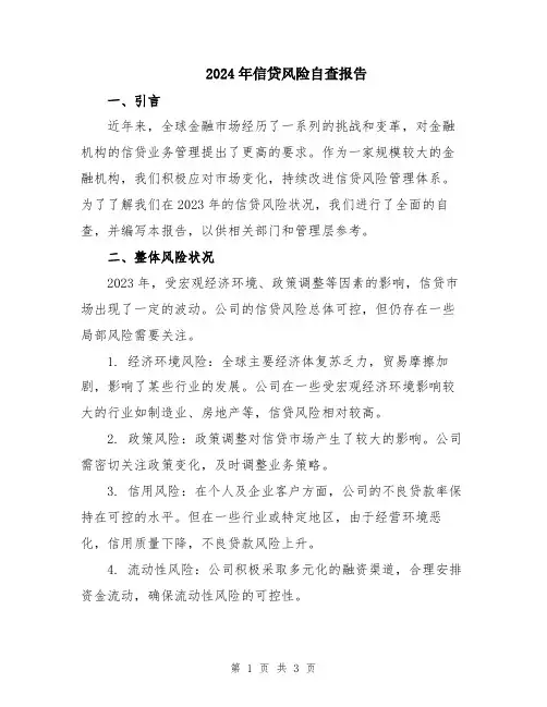 2024年信贷风险自查报告