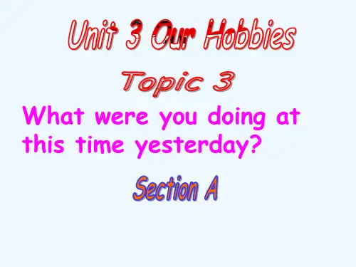 仁爱版八年级英语上册 Unit 3 Topic 3 Section A 课件(共24张PPT)