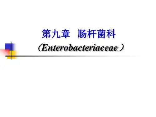 第9章 肠杆菌科
