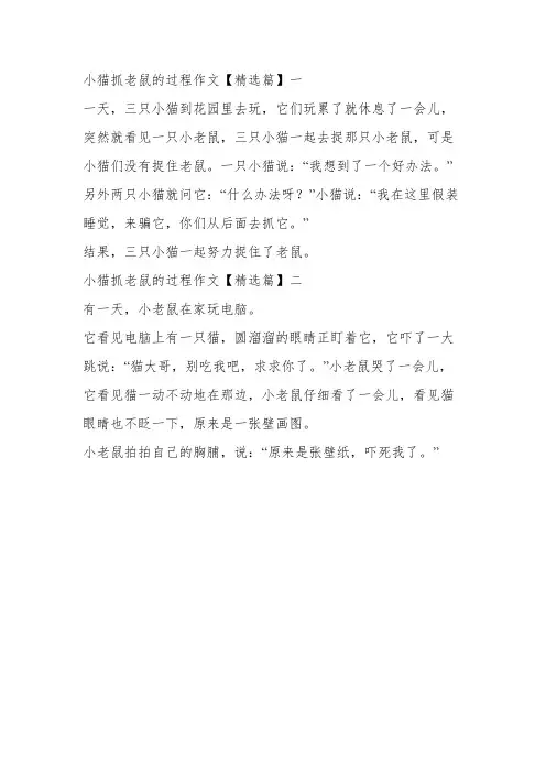 关于猫抓老鼠的过程作文