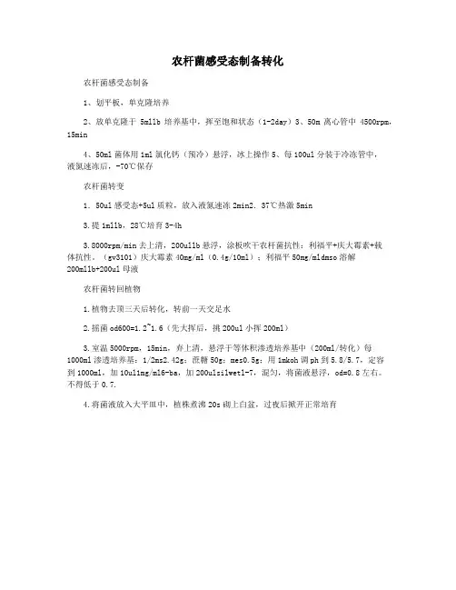 农杆菌感受态制备转化