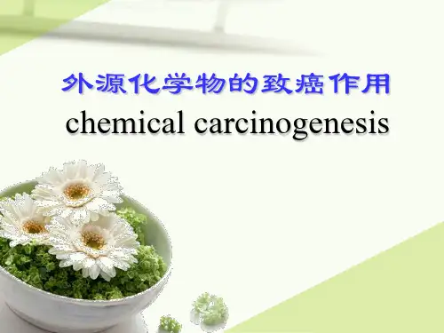 外源化学物致癌作用