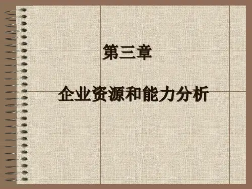 企业资源和能力分析