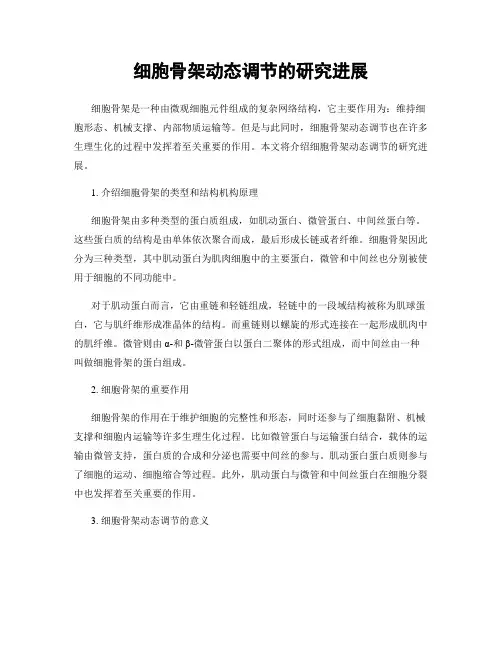 细胞骨架动态调节的研究进展