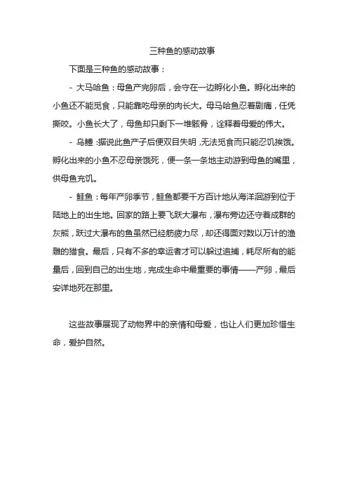 三种鱼的感动故事