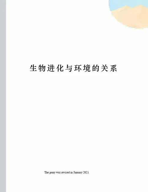 生物进化与环境的关系