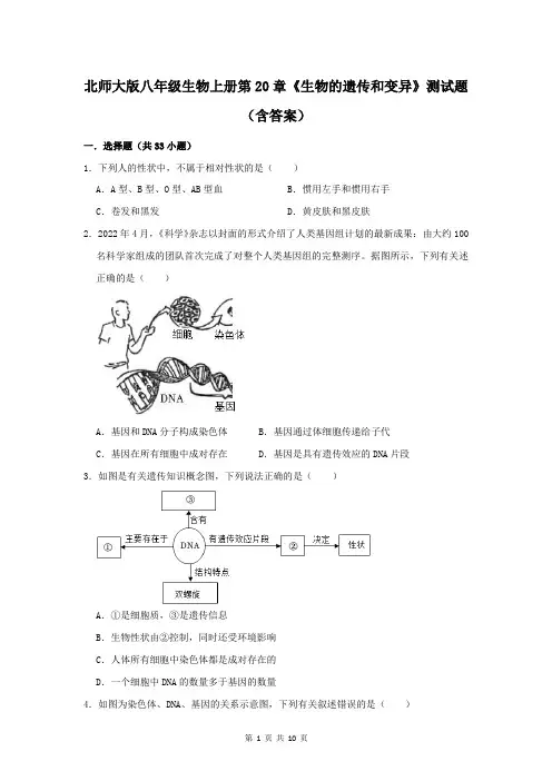 北师大版八年级生物上册第20章《生物的遗传和变异》测试题(含答案)
