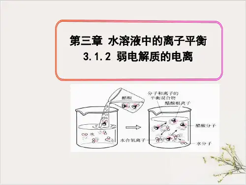 人教版《弱电解质的电离》课件PPT人教版1
