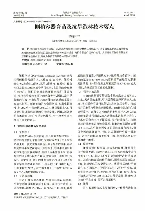 侧柏容器育苗及抗旱造林技术要点