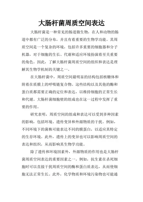 大肠杆菌周质空间表达