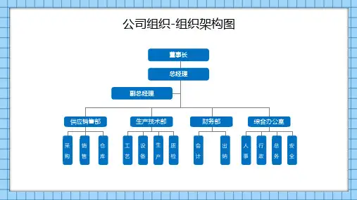 公司组织架构图模板(完整版)可编辑 (52)