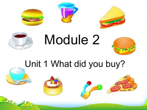 新外研版五年级英语上册Module 2 Unit 1 What did you buy 课件