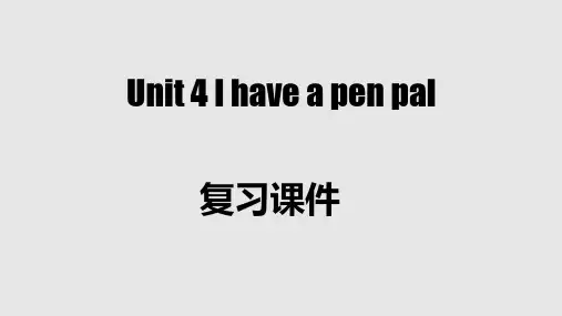 同步高效课堂系列六年级英语上册(人教版PEP版)Unit4Ihaveapenpal复习课件