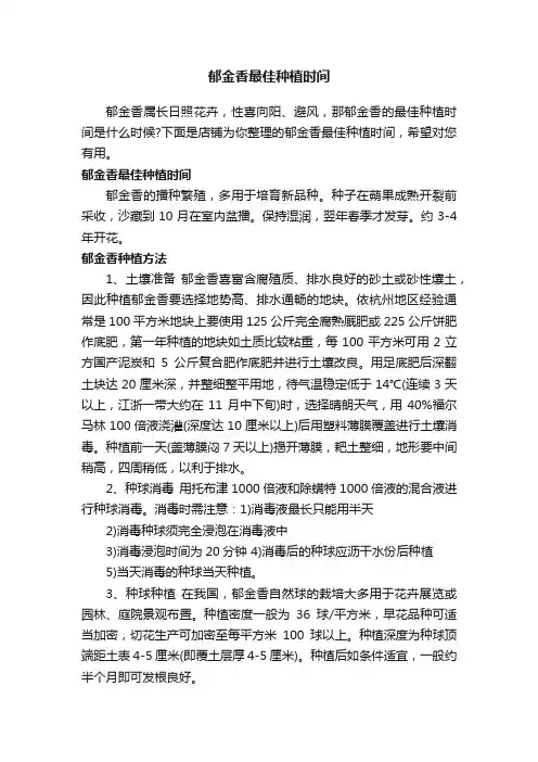 郁金香最佳种植时间