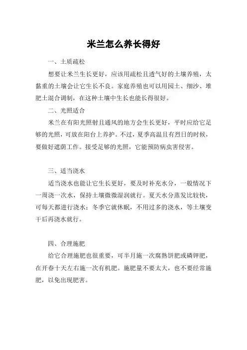 米兰怎么养长得好