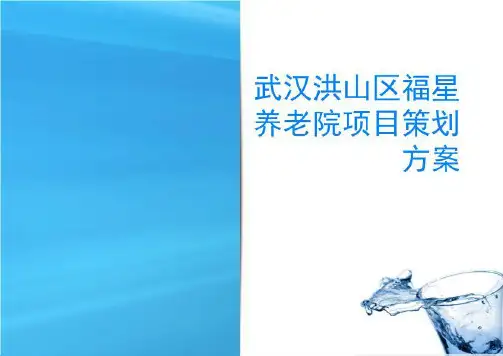 武汉洪山区福星养老院项目策划方案